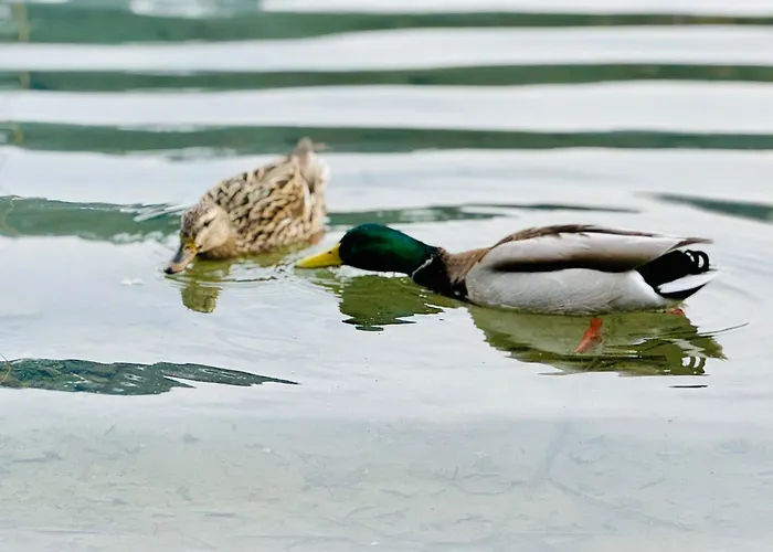 Haus Care * Weissensee