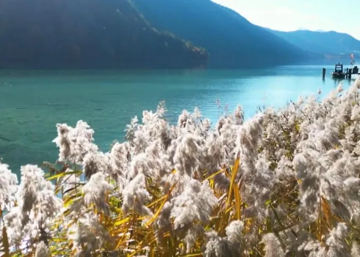 Haus Care Apartament *